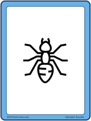 Preview of Images only, Large