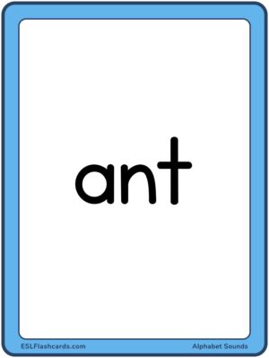 Preview of Word cards, Large