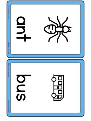 Preview of Images with labels, Medium