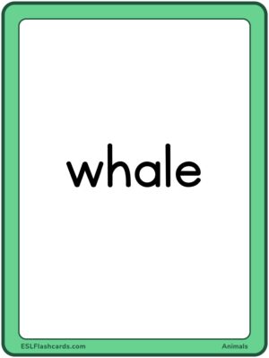 Preview of Word cards, Large