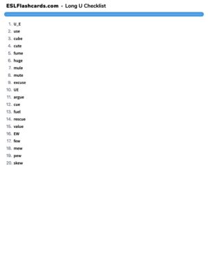 Preview of Checklist, Long U