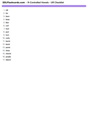 Preview of Checklist, UR