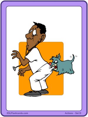 Preview of Images only, Large