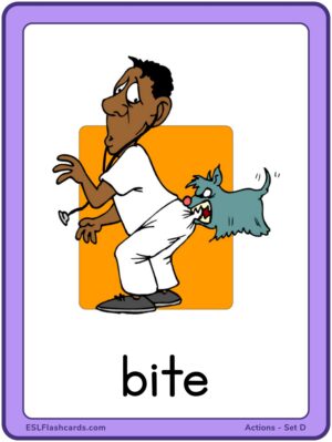 Preview of Images with labels, Large