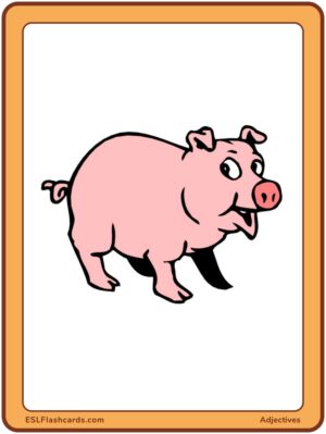 Preview of Images only, Large