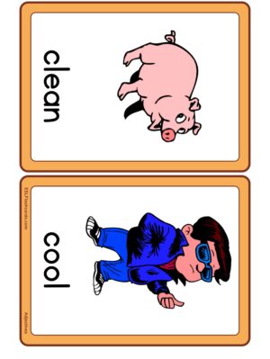 Preview of Images with labels, Medium