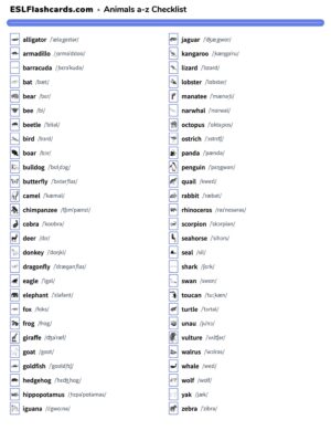Preview of Checklist