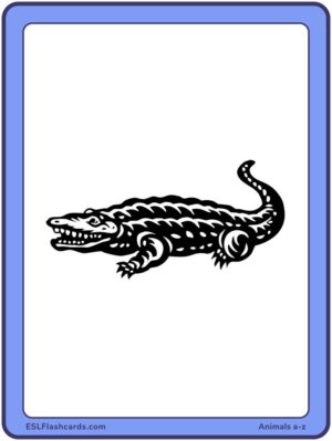 Preview of Images only, Large