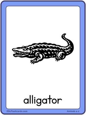 Preview of Images with labels, Large