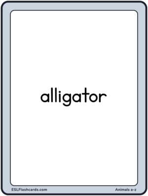 Preview of Words only, Large