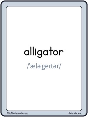 Preview of Words with IPA, Large