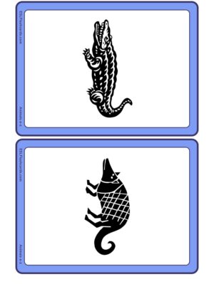 Preview of Images only, Medium