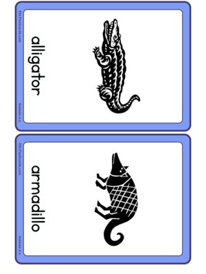 Preview of Images with labels, Medium