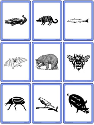 Preview of Images only, Small