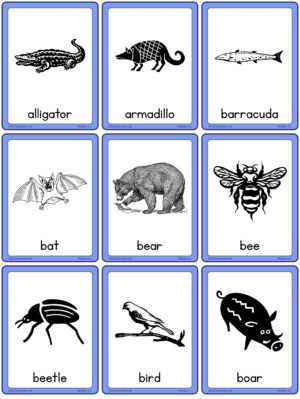 Animals A to Z Flashcards