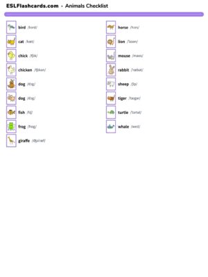 Preview of Checklist