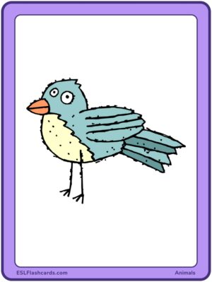 Preview of Images only, Large