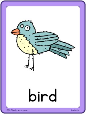 Preview of Images with labels, Large