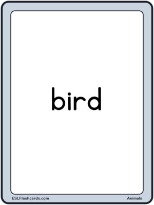 Preview of Words only, Large