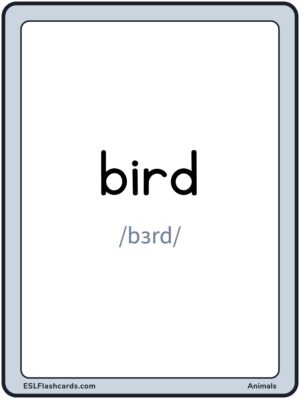 Preview of Words with IPA, Large