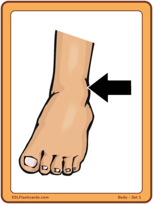 Preview of Images only, Large