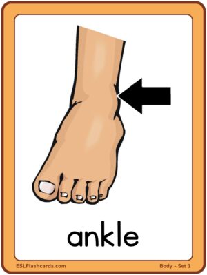 Preview of Images with labels, Large