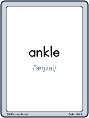 Preview of Words with IPA, Large