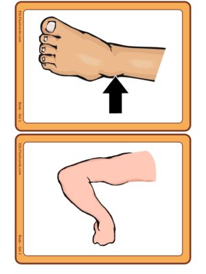 Preview of Images only, Medium