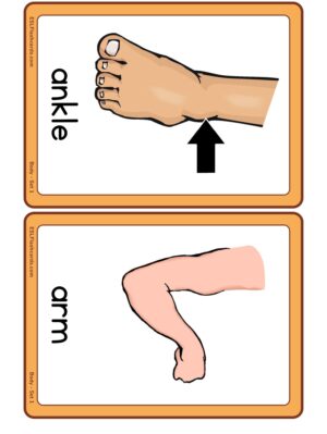 Preview of Images with labels, Medium