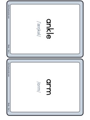 Preview of Words with IPA, Medium