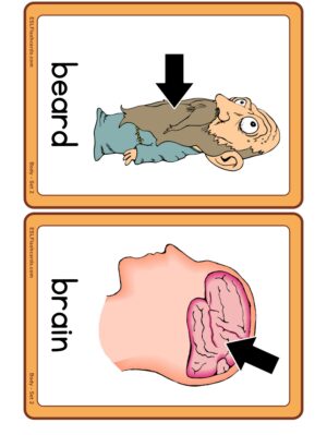 Preview of Images with labels, Medium