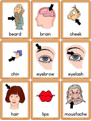 Preview of Images with labels, Small