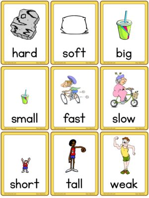 Easy Adjectives (Set A)