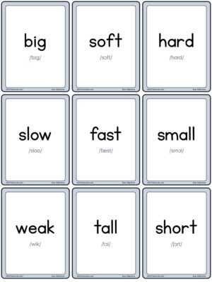 Preview of Word cards with IPA, Small