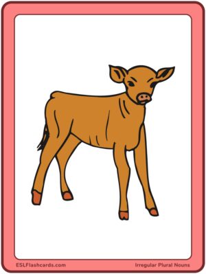 Preview of Images only, Large