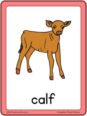 Preview of Images with labels, Large