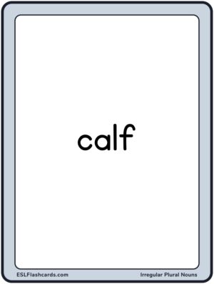 Preview of Word cards, Large