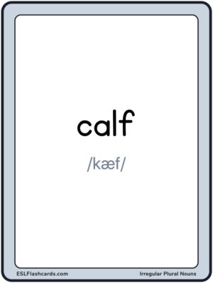 Preview of Words with IPA, Large