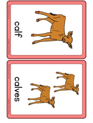 Preview of Images with labels, Medium