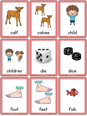 Irregular Plural Nouns