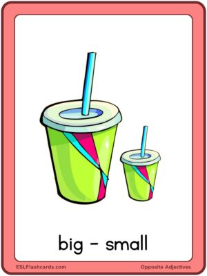 Preview of Images with labels, Large