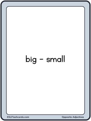 Preview of Word cards, Large