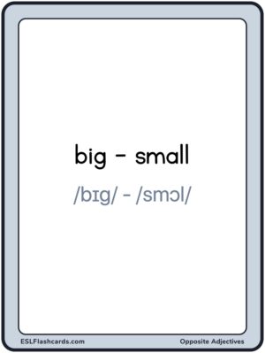 Preview of Words with IPA, Large