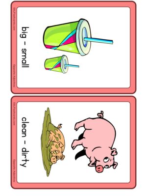 Preview of Images with labels, Medium