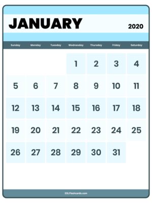 Preview of Large, 2020