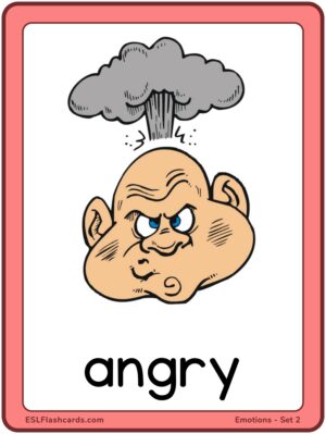 Preview of Images with labels, Large