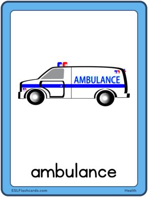 Preview of Images with labels, Large