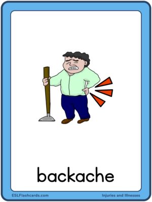 Preview of Images with labels, Large