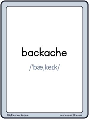 Preview of Words with IPA, Large