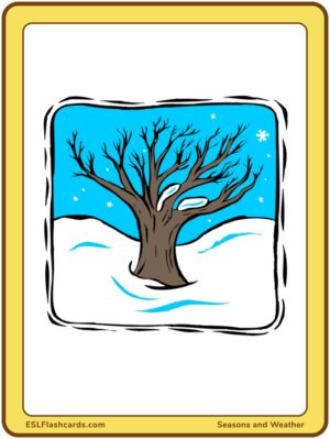 Preview of Images only, Large